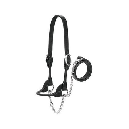 Weaver Leather 90-0510 Cattle Show Halter, Black Bridle Leather, Medium, 20-In. Chain x 36-In. Lead - Quantity (Best Way To Halter Break Cattle)