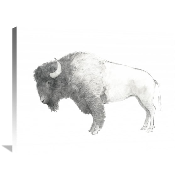 Global Gallery Avery Tillmon 'Bison Dark' Canvas Wall Art