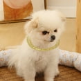 thumbnail image 3 of Fashion Jewelry Pet Necklace Exquisite Party Dress Up - Golden Color Cute Schnauzer Pomeranian Collar - Cat Necklace - Pet Accessories, 3 of 8