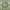 Green, variant on Findosom 2'x6' Runner Rugs for Hallway Machine Washable Runners Rug,Vintage Runner Rug Non Slip Kitchen Runner Rug Medallion Carpet Runner for Bedroom Laundry Entrance,Blue
