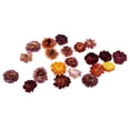 thumbnail image 4 of Flores Secas Prensadas 20 Secado Natural para Las Tarjetas arte DIY de La Joyería de, 4 of 8