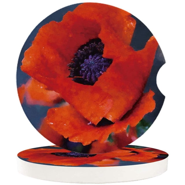 RYLABLUE Ensemble de 6 sous-Verres pour Boissons, Style Peinture à l'Huile Coquelicots Rouges, sous-Verres en Céramique Absorbants avec Base en Liège pour Décoration de Table Basse de Cuisine Maison Bar