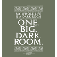 thumbnail image 2 of Beetlejuice My Whole Life Is A Dark Room Adult Olive Long Sleeve Hoodie-Large, 2 of 7