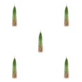 thumbnail image 2 of Matsuzay 12 piezas de plantas artificiales colgantes fáciles de manejar y ordenar para cualquier habitación sin necesidad de regar la cola Type2 NO2, 2 of 6