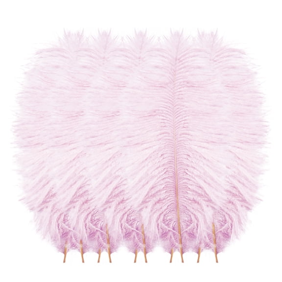 BINGLI 10pcs Fluffy Ostrich Artificial Feathers Arts Crafts Colors (8"-10" Length), DIY Decoration for Wedding Centerpieces, Festival Party