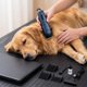 thumbnail image 1 of Cortapelos para mascotas, kit aseo para mascotas, inalámbrico, multizona para animales, ergonómico, silencioso, ligero, cortapelos profesional para azul, 1 of 8