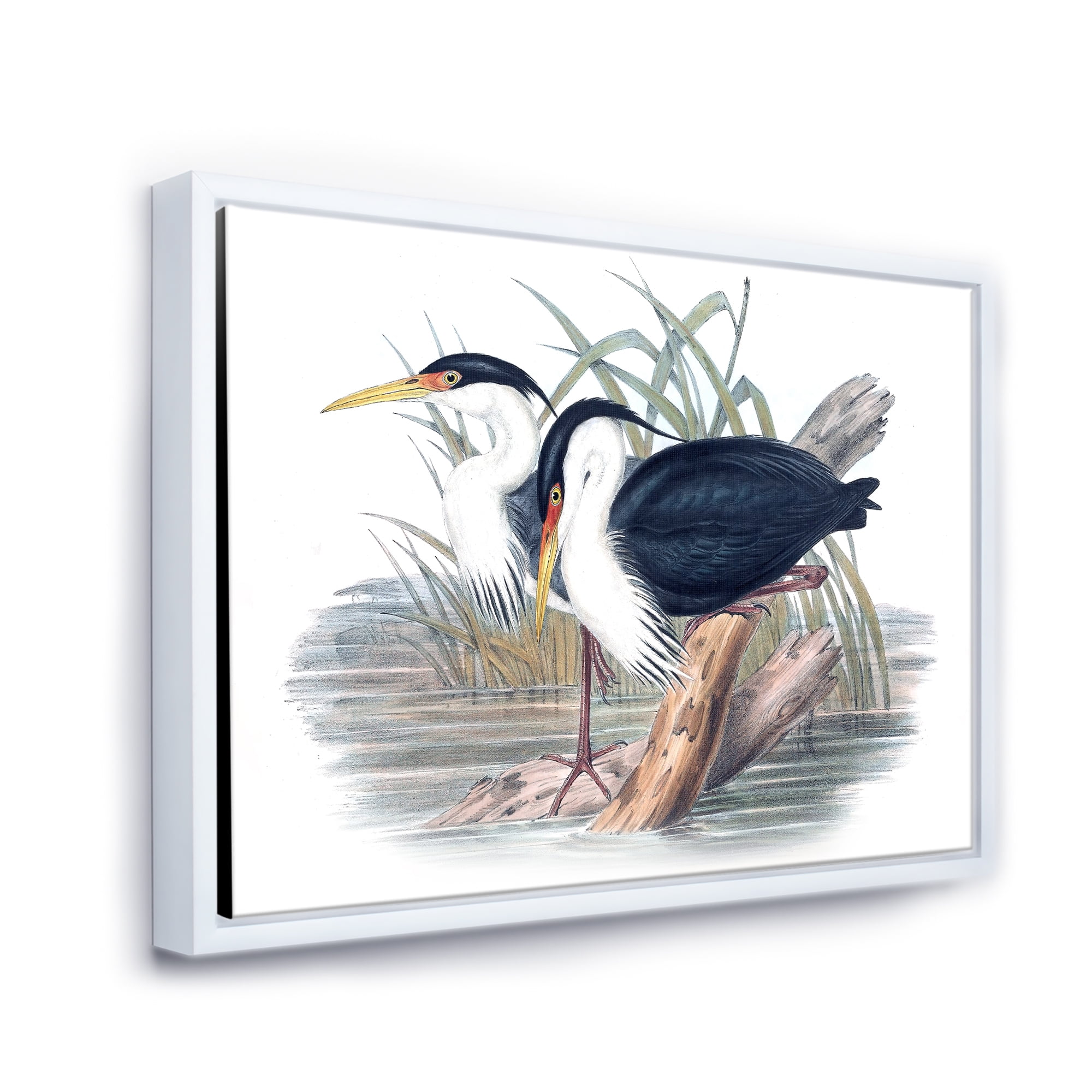 Designart 'Ancient Bird Life II' Traditional Framed Canvas Wall Art Print