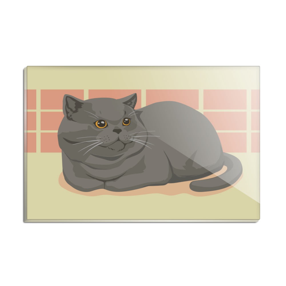 Acrylic cat fridge magnets Funny cat sayings American Shorthair Cat 