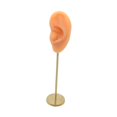 thumbnail image 2 of Earring Display Stand Human Ear Model Stud Decor Earring Display Holder Showcase Jewelry Organizer Left Normal Skin, 2 of 9