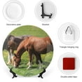 Decorative Plate Wall Mount Display Horses Farm Animal Ceramic Round
