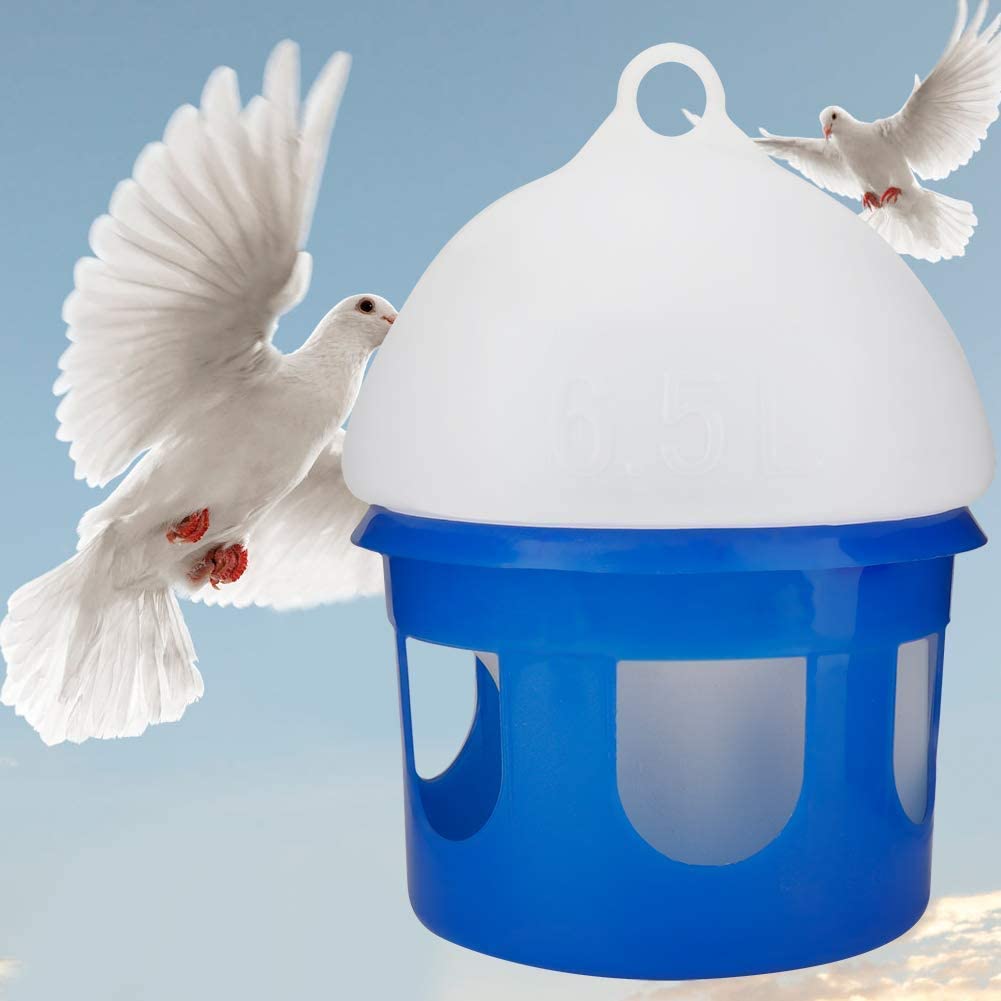 Large Capacity Automatic Pigeon Bird Water Dispenser Waterer Drinker for  Pigeon Birds Water Dispenser Accessories (2L) - Walmart.com