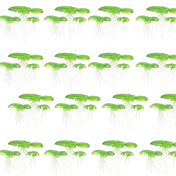 2 Pack Floating Plant For Fish Tanks Low Maintenance Decors Floating Duckweed