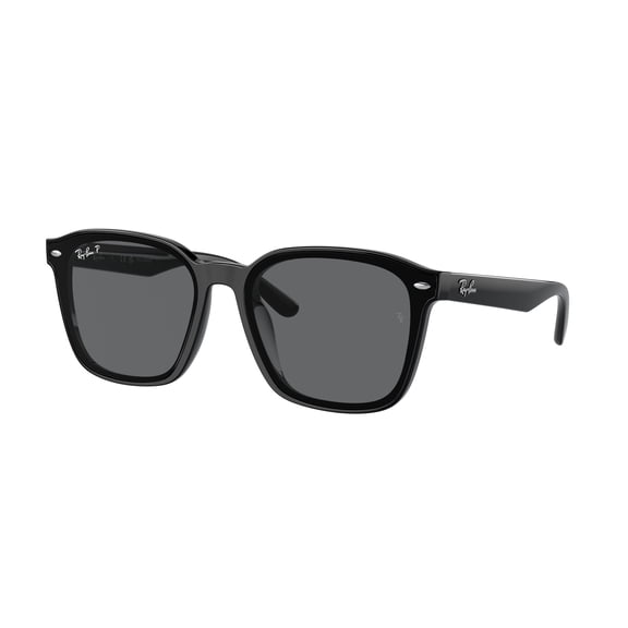 Sunglasses Ray-Ban RB 4392 D 601/81 Black Dark Grey Polar