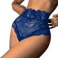 thumbnail image 1 of Gibobby Pantys para Mujer Bragas malla encaje Floral Sexy para mujer, bragas cintura alta, ropa interior ahuecada, ropa interior transparente talla grande（Azul， L), 1 of 5