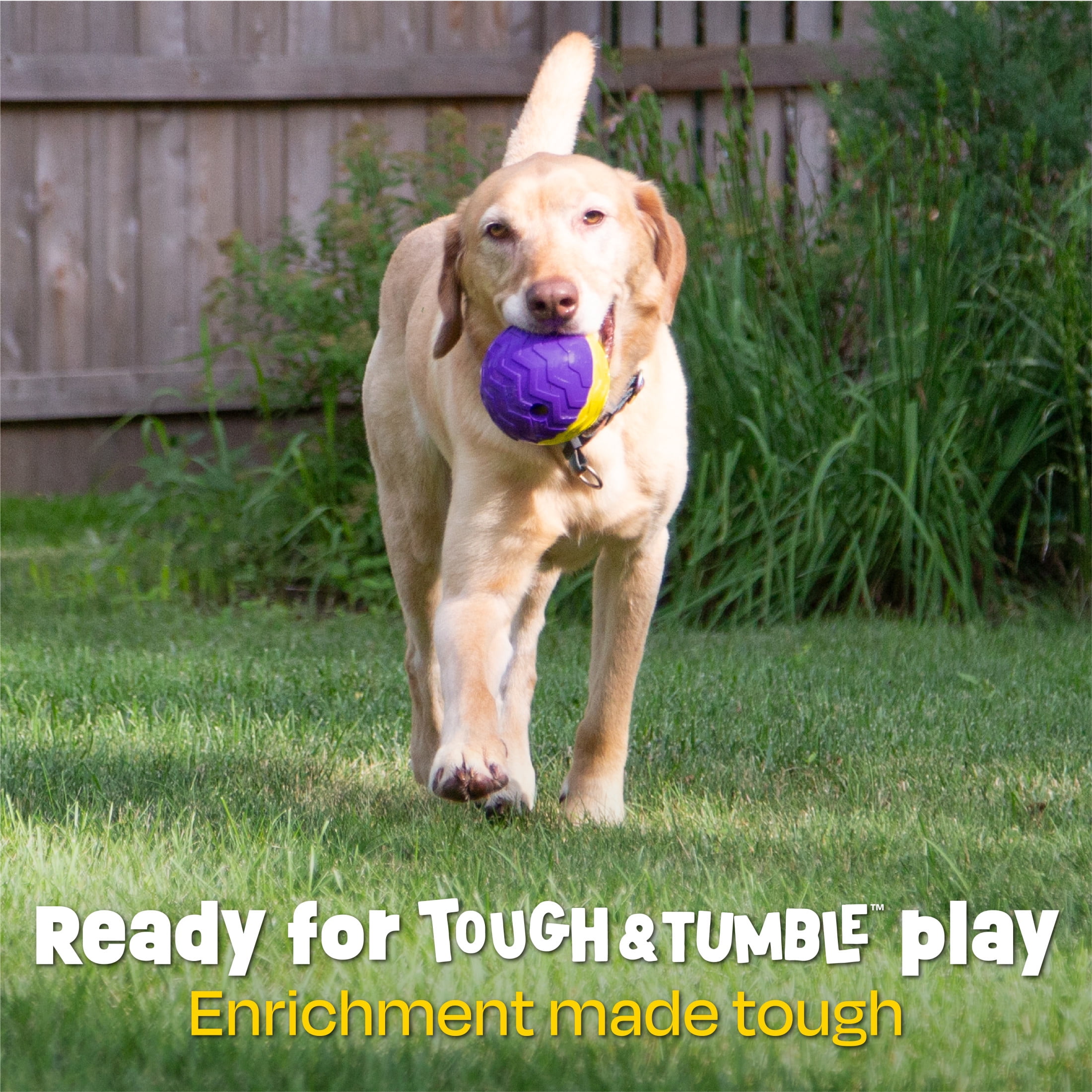 Brightkins Tough & Tumble 2-piece Texture Ball Large, Puppy Essentials