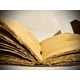 thumbnail image 4 of Cuaderno Modest Goods, piel vintage, 23 x 15 cm, 200 páginas, 4 of 8