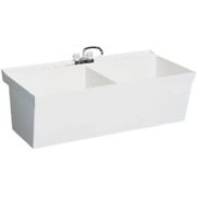 Swan MF20000WM 001 Veritek Bowl Wall Mount Double Basin Laundry Sink 22 in L X 45 in H X 14 in H White