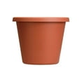 thumbnail image 2 of The HC Companies 12" Classic Flower Pot Planter, Terra Cotta (2 Pack), 2 of 6