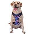 thumbnail image 1 of Balery Blue Skull Rose Arnés para Perros Grandes Antitirones, Arnés con Correa para Gato, Arnés Tipo Chaleco para Perros Pequeños-Large, 1 of 6