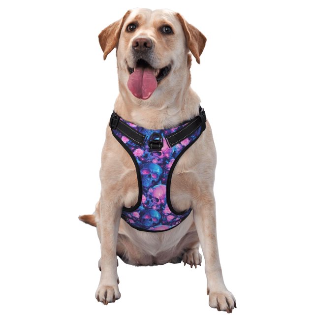Balery Blue Skull Rose Arnés para Perros Grandes Antitirones, Arnés con Correa para Gato, Arnés Tipo Chaleco para Perros Pequeños-Large