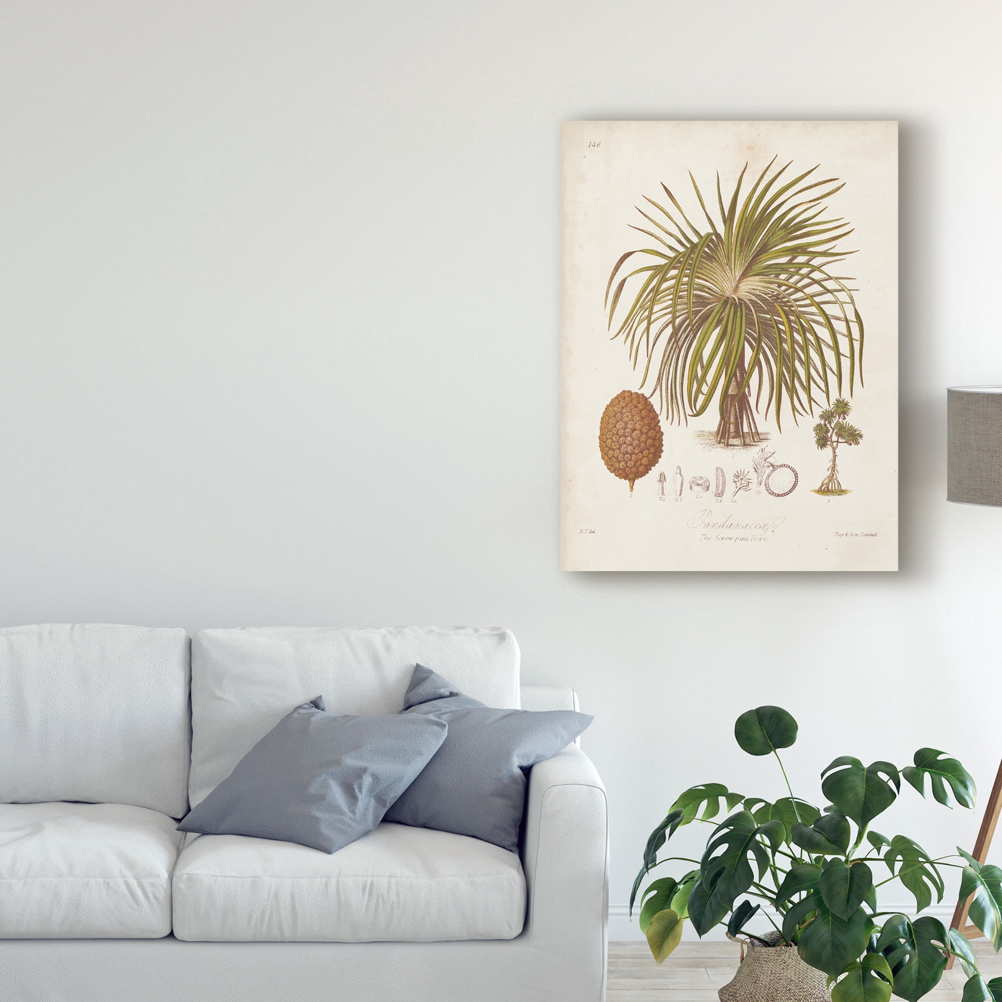Trademark Fine Art 'Antique Tropical Palm II' Canvas Art by Elizabeth Twining