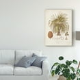 thumbnail image 3 of Trademark Fine Art 'Antique Tropical Palm II' Canvas Art by Elizabeth Twining, 3 of 4