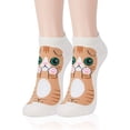 thumbnail image 3 of Calcetines Ficarrico Calcetines tobilleros bonitos para mujer 5 pares, 3 of 7