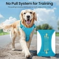 thumbnail image 4 of YWC-Light Up Dog Harness Rechargeable,LED Dog Harness for Night Walking,Dog Vest Harness for Small/Medium/Large/X Large Size Dogs-No Pull,High Visibility,4 Point Adjustable,BlueXL, 4 of 4