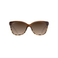 thumbnail image 1 of Lentes de Sol Maui Jim Starfish Polarizados Chocolate Translúcido, 1 of 7