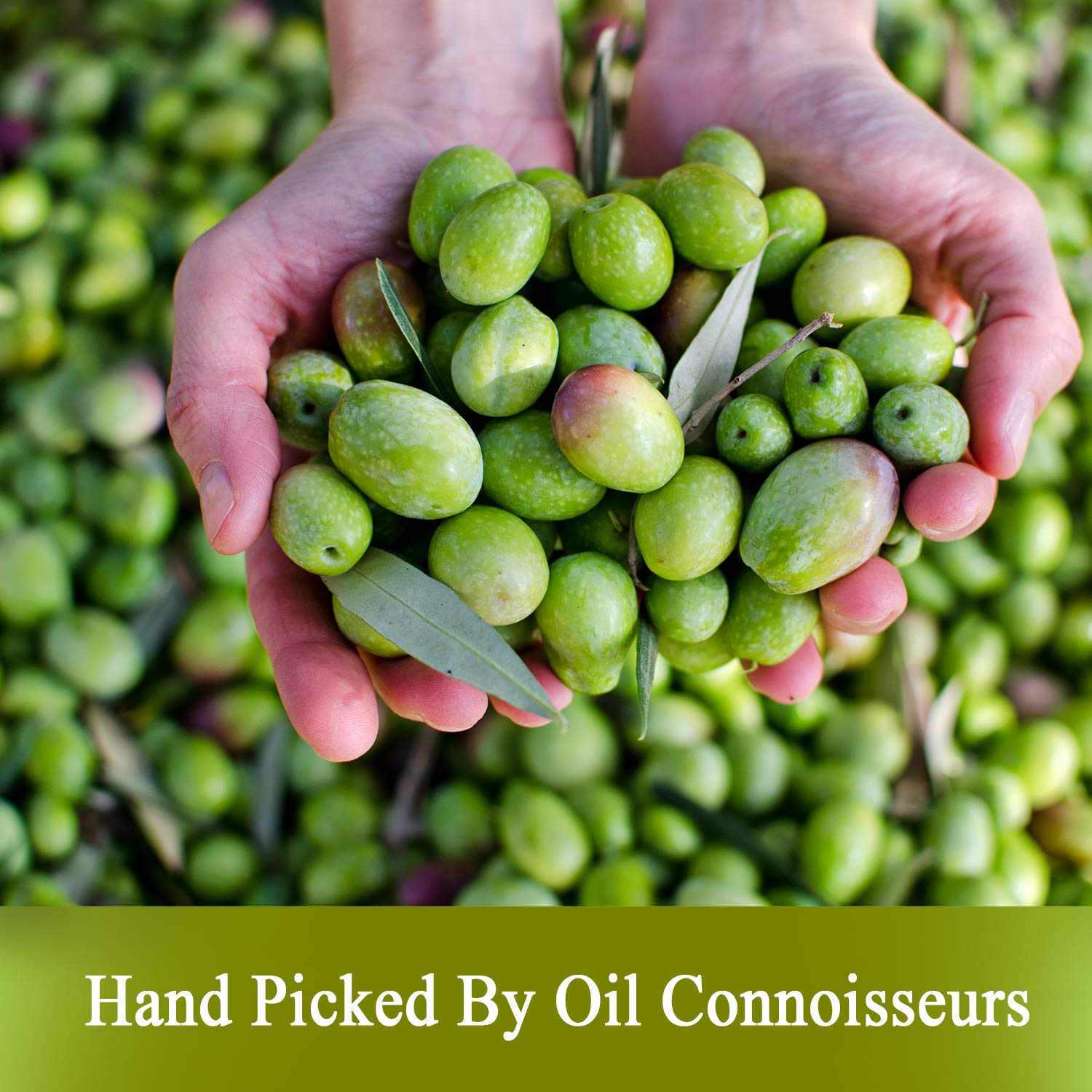 De La Rosa 613 Extra Virgin Olive Oil, Kosher for Passover, 16.9 Oz (Pack of 2),