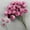 G, variant on Artificial Flowers Cosmos Bouquet Maintenance Free No Fade for Front Door Wreath - Multicolor