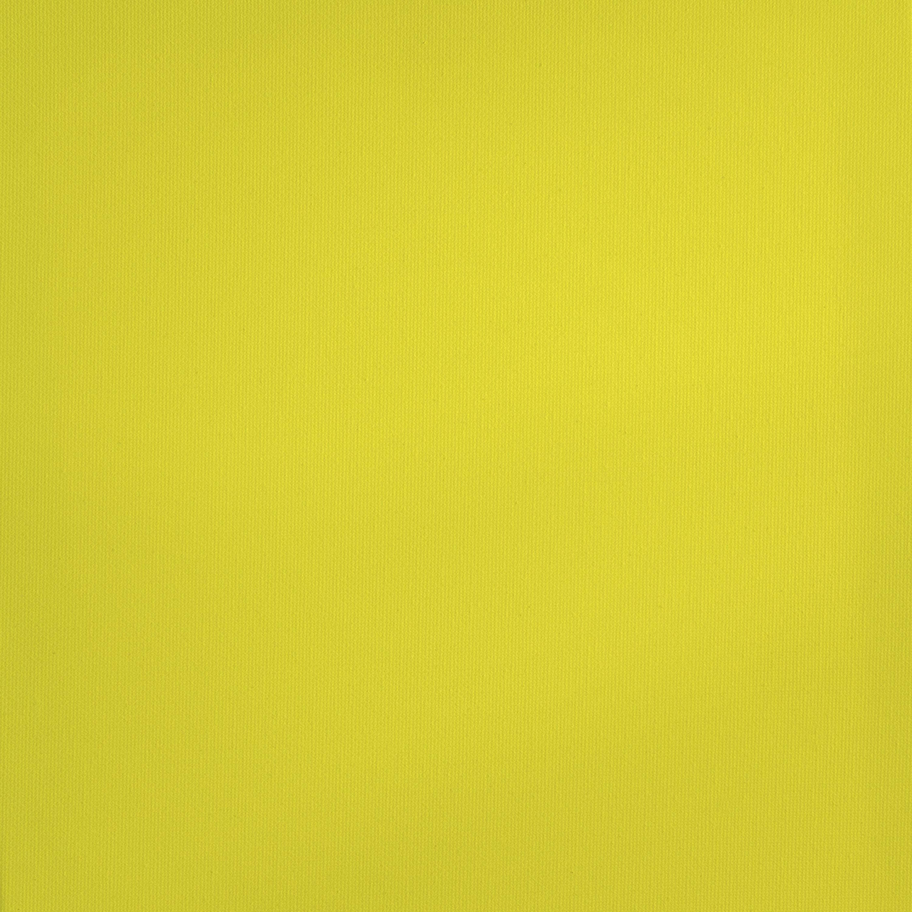 (2 pack) Royal & Langnickel Essentials 120ml Lemon Yellow Cadmium Acrylic Artist Paint