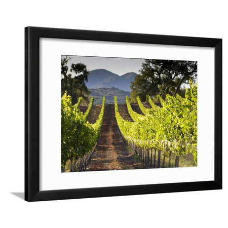 Arroye Grande, California: a Central Coast Winery Framed Print Wall Art By Ian (Best Central Coast Wineries)
