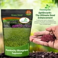 thumbnail image 5 of Outsidepride Kentucky Bluegrass Lawn Grass Seed Blend - 10 LBS, 5 of 5