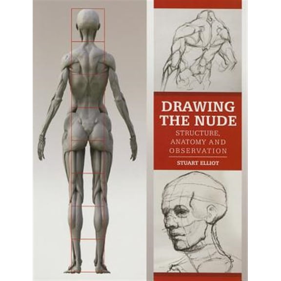 Pre-Owned Drawing the Nude : Structure, Anatomy and Observation (Paperback)