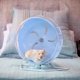 thumbnail image 5 of Rueda silenciosa para hámsters Rueda de ejercicio grande de plástico para animales pequeños con soporte | Diseño azul | Fácil instalación para hámsters y ratones, 5 of 8