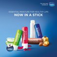 thumbnail image 3 of Terapia Labial Vaseline Aloe Care Pack Doble, 3 of 6