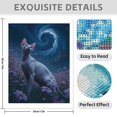 thumbnail image 3 of Diamond Art Kit for Adults, Cat Night Sky Spiral Flowers Diamond Painting for Adults Beginners, DIY Diamond Art Painting Kits, 5D Diamond Painting Crafts for Home Decor 12x16 Frameless, 3 of 7