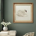 thumbnail image 2 of IDEA4WALL Premium Frame Wall Art White Swan Bird Animal Portrait Classic Print Nature Wilderness Illustrations Fine Art Retro Historic Zen Wall Decor for Living Room, Office - 26"x26" Natural, 2 of 5