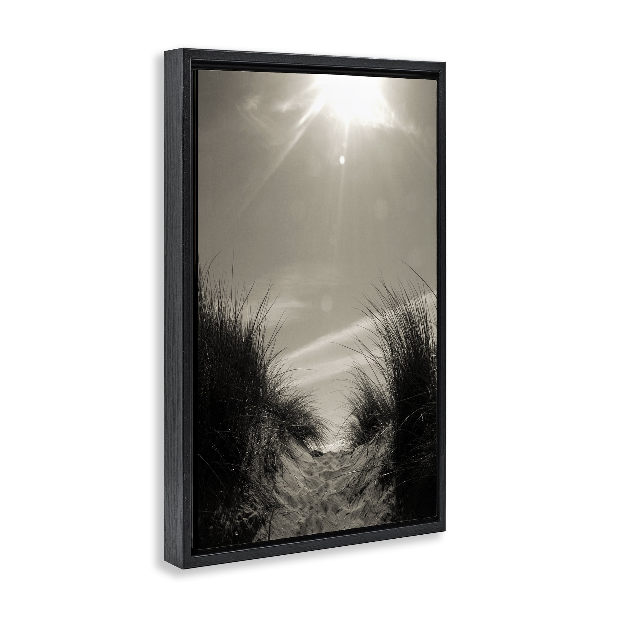Stupell Industries Dune Valley Landscape Coastal Photography Black Floater Framed Canvas Art Print Wall Art, 17 x 25