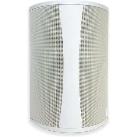 Definitive Technology - AW5500 Outdoor Speaker - 5.25-inch Woofer | 175 Watts | Built for Extreme Weather (Each) - White