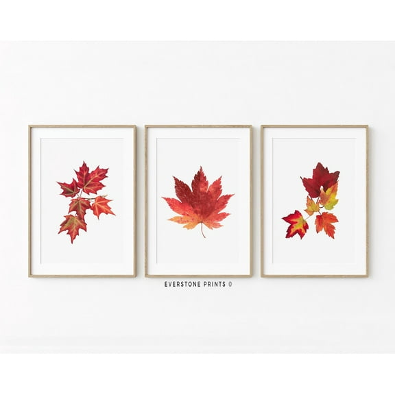 Luvia Fall Leaves Set Of 3, Leaves Fall Art, Fall, Fall Decor, Autumn Print, Fall Fall Leaf Art, Rustic Fall Art, Modern Wall Decor Set 3 Prints 8x12 UNFRAMED
