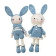 thumbnail image 4 of de de bricolaje hecho a mano para muñeca de conejo principiante Haz tu propia muñeca para adultos y Incluye hilo, gancho Todo en Azul Baoblaze equipos de ganchillo, 4 of 8