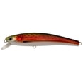 thumbnail image 5 of Challenger TS Minnow - 3, 5 of 10