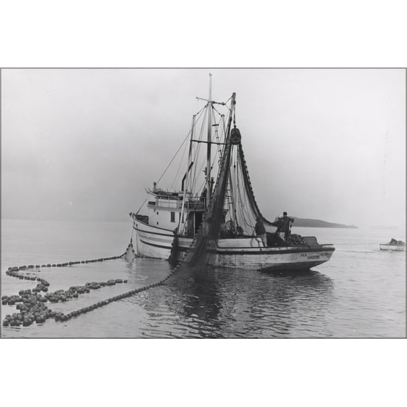 24"x36" Gallery Poster, Salmon seiner drumming in the net