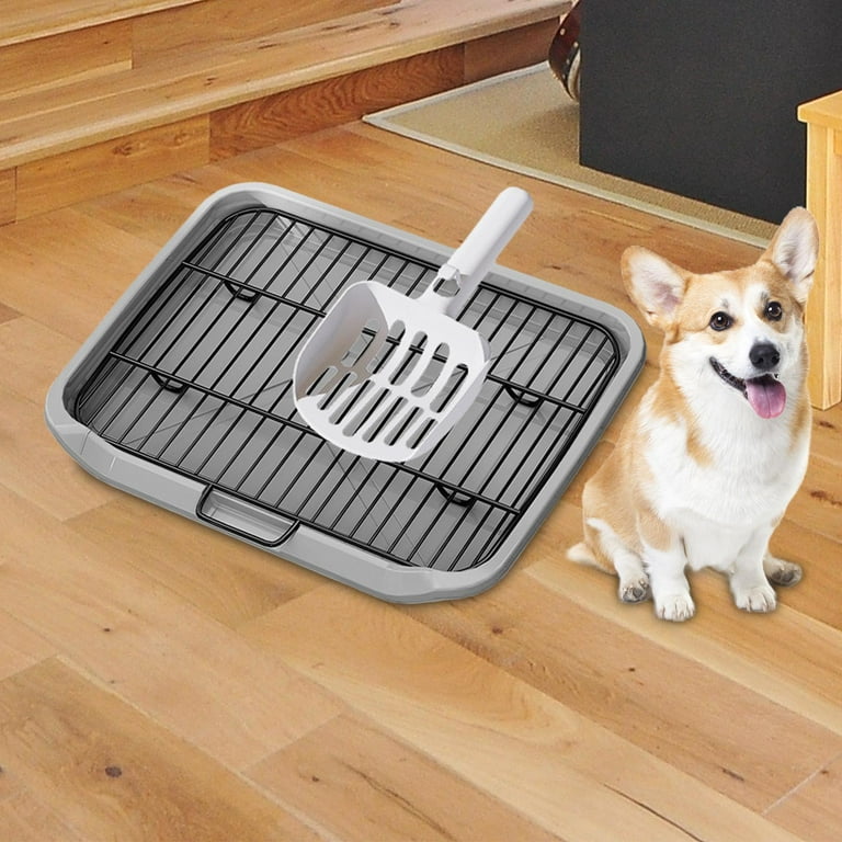 Dog Toilets For Apartments