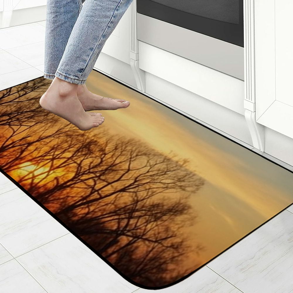 PHYHOO Decorative Door Mat, Door Mat with Non-Slip Rubber Backing, Easy Cleaning, Traps Dirt, Rug for Entry, Patio, Garage - Dawn Tree Nature Sunset Sun 19.68*47.24 in