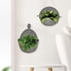 thumbnail image 5 of Paquete de 2 contenedores de flores para jardinería, bolsa para cultivo de plantas, bolsas colgantes para plantar plantas Tmvgtek Para estrenar, 5 of 8