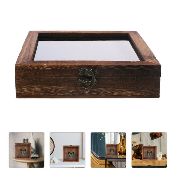Minkissy Insect Display Case Light Brown Wooden Box with Transparent Lid for Decoration