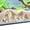Bone White, variant on Aquarium Underground Cave Mangrove Tree Decor Bone White Fish Tank Enrichment